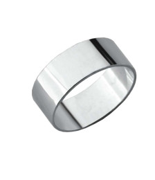 ALIANÇA PRATA ANILHA PASSION