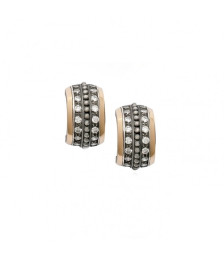 EARRINGS SILVER AND GOLD -...