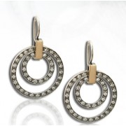 Earrings in gold and silver new